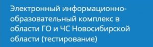 Электронный информационно - образовательный комплекс